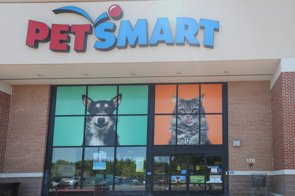 Transforming Your Brand's Presence: The Impact of Creative Signage and ...